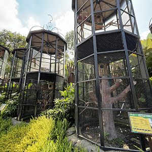 Assorted Aviaries