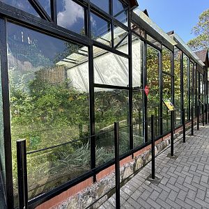 Small Monkey Row (3 species)