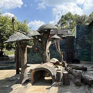 Sun Bear Exhibit