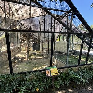 Caracal Exhibit