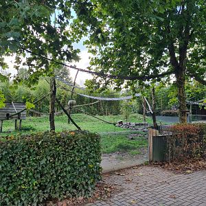 Nepalese red panda and Asian small-clawed otter habitat