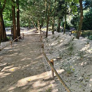 African penguin habitat "Boulders Beach"