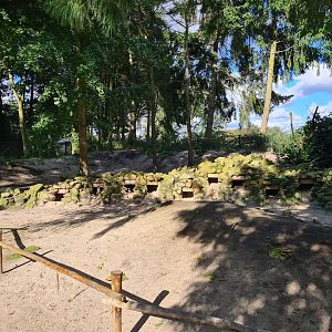 African penguin habitat "Boulders Beach"