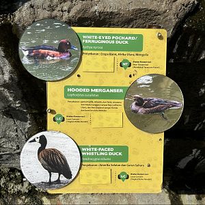 Waterfowl Aviary - Sign #2 of 4