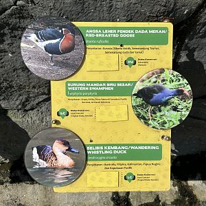 Waterfowl Aviary - Sign #3 of 4