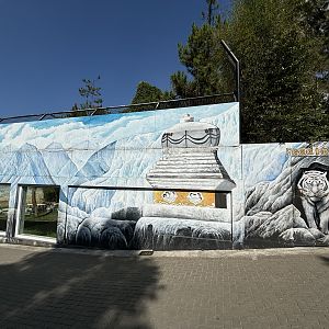 Tiger Exhibit #2 - Bengal