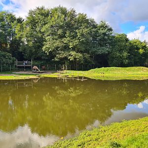 Outback - Dromedary habitat