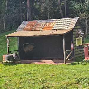 Outback - Gas station barn