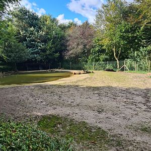 Jangalee - Lowland tapir and Capybara habitat
