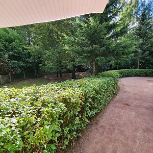 Viewing point to Tapir/Capybara habitat