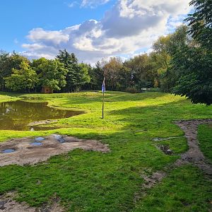Dromedary camel habitat in Outback