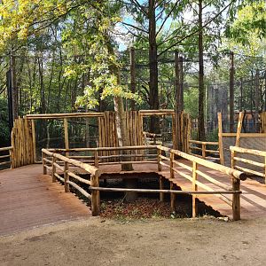 Jangalee - Future Clouded leopard habitat