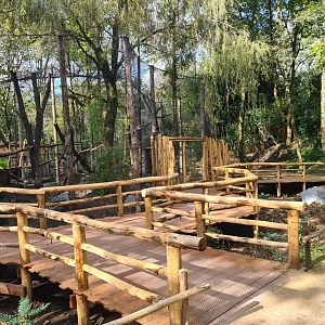 Jangalee - Future Clouded leopard habitat