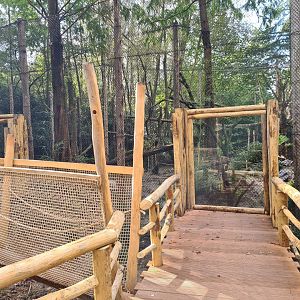 Jangalee- Future Clouded leopard habitat