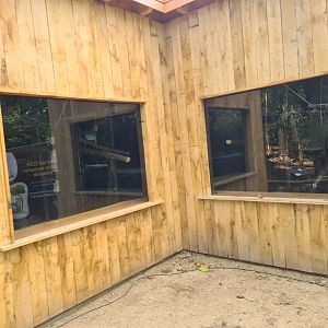 Jangalee - Clouded leopard indoor habitat
