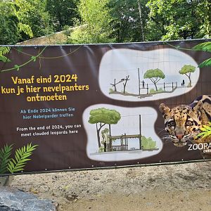 Clouded leopard plans