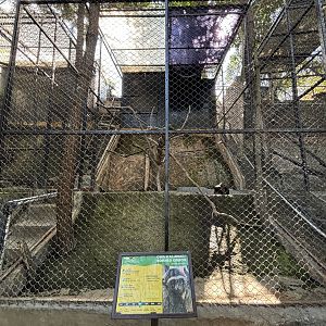 Muller’s Gibbon Exhibit