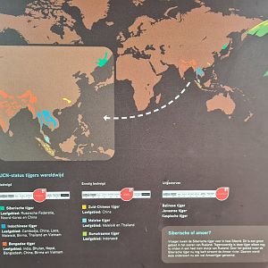 Tiger subspecies signage