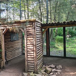 Jangalee - White tiger viewing hut