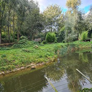 Jangalee - White tiger habitat