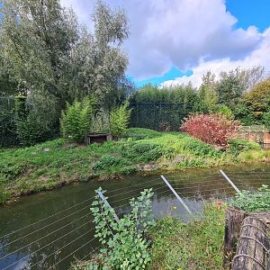 Jangalee - White tiger habitat