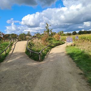 Ngorongo - Walkway in new expansion area