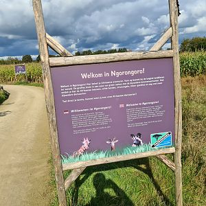 Signage introducing Ngorongo