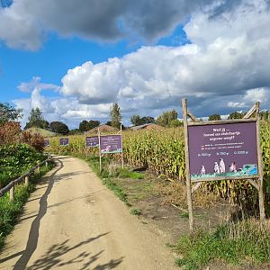 Ngorongo - Quiz path