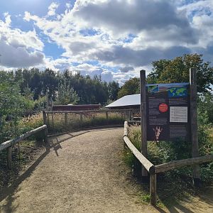 Ngorongo - African wild dog viewing platform