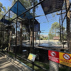 Assorted Hornbill Aviaries (6 species)