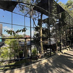 Assorted Hornbill Aviaries (6 species)