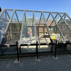 Komodo Dragon Exhibit