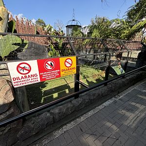 Saltwater Crocodile Exhibit #1