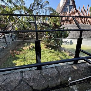 Saltwater Crocodile Exhibit #1