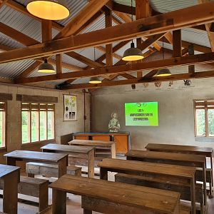 Ngorongo - Teacher projection