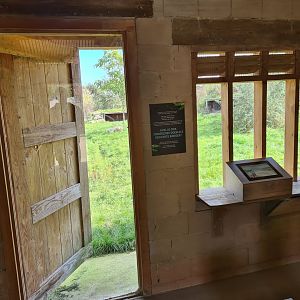 Ngorongo - False door into African wild dog habitat