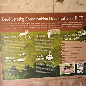 Ngorongo - Educational signage