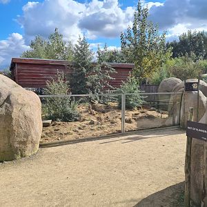 Ngorongo - Meerkat habitat