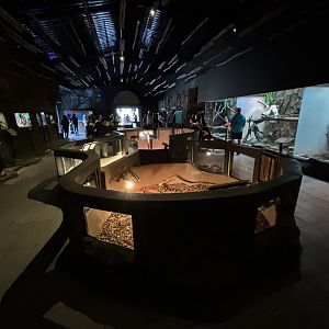 Reptile House
