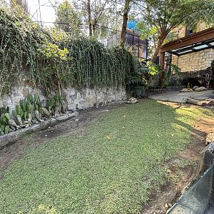 African Spurred + Leopard Tortoise Exhibit