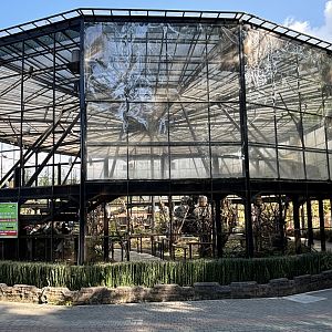 Walk-through Aviary