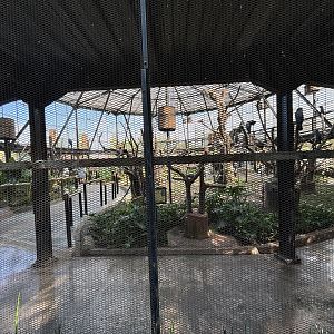 Walk-through Aviary