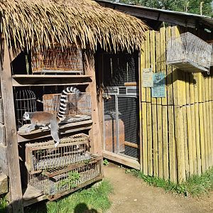 Itampalo - Poacher's market theming