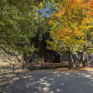 Main Valley - Fall 2024