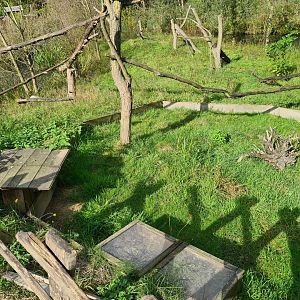 Itampalo - Hermann's tortoise enclosure