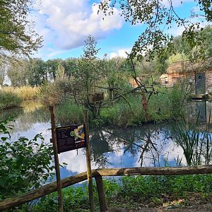 Itampalo - Bamboo lemur island