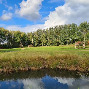 Ngorongo - Reticulated giraffe habitat