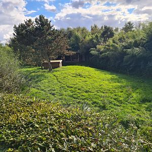 Ngorongo - Cheetah enclosure