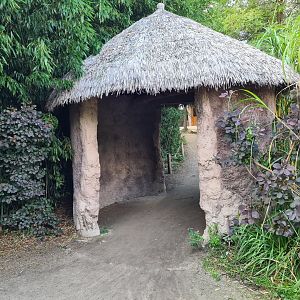 Ngorongo - Path to Giraffe stables and aviary