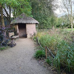 Ngorongo - Path toward Giraffe stables